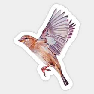 Magical House Sparrow painting (no background) Sticker